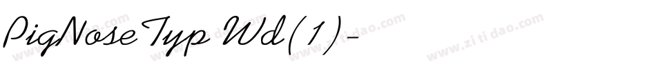 PigNoseTyp Wd(1)字体转换